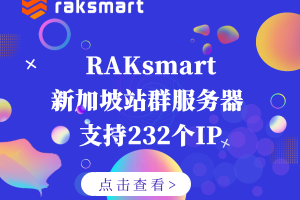 RAKsmart新加坡站群服务器