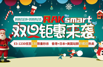 RAKsmart双旦优惠大促