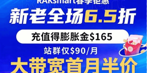 RAKsmart美国服务器活动